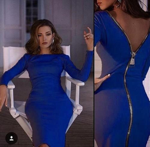 Zip Back Skintight Long Sleeve Dress